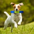 thumbnail image 2 of Baton sonore Nerf Dog en TPR jouxeaux pour chiens 15cm, 2 of 4