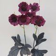 thumbnail image 3 of Flores de Amapola Artificiales Flores de Amapola Falsas Flores de Seda para Decoración de Fiestas en el Hogar Decoración de Bodas ANGGREK Otros, 3 of 8