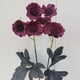 thumbnail image 3 of Flores de Amapola Artificiales Flores de Amapola Falsas Flores de Seda para Decoración de Fiestas en el Hogar Decoración de Bodas ANGGREK Otros, 3 of 8