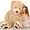 Smiling-Brown, variant on MaoGoLan Giant Teddy Bear 6ft Large Stuffed Animals Plush Toy