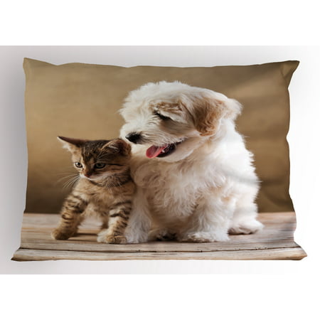 Animal Pillow Sham Cute Baby Cat Kitten and Puppy Dog Best Friends Image Photo Artwork, Decorative Standard Size Printed Pillowcase, 26 X 20 Inches, Sand Brown Cream and White, by (Best Cream For Dog Rash)