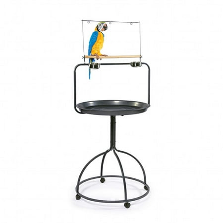 Prevue Hendryx Parrot Playstand, Round