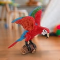 thumbnail image 4 of Realistic Parrot Model Toy for Kids 8+, Educational PVC Bird Figurine for Brain Development, Creative Play & Home Decor, Lifelike Animal Learning Gift, 4 of 5