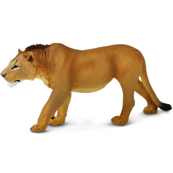 Safari Ltd. Adolescent Male Lion - Detailed 6" Wildlife Figurine - Educational Toy for Boys, Girls, and Kids Ages 3 