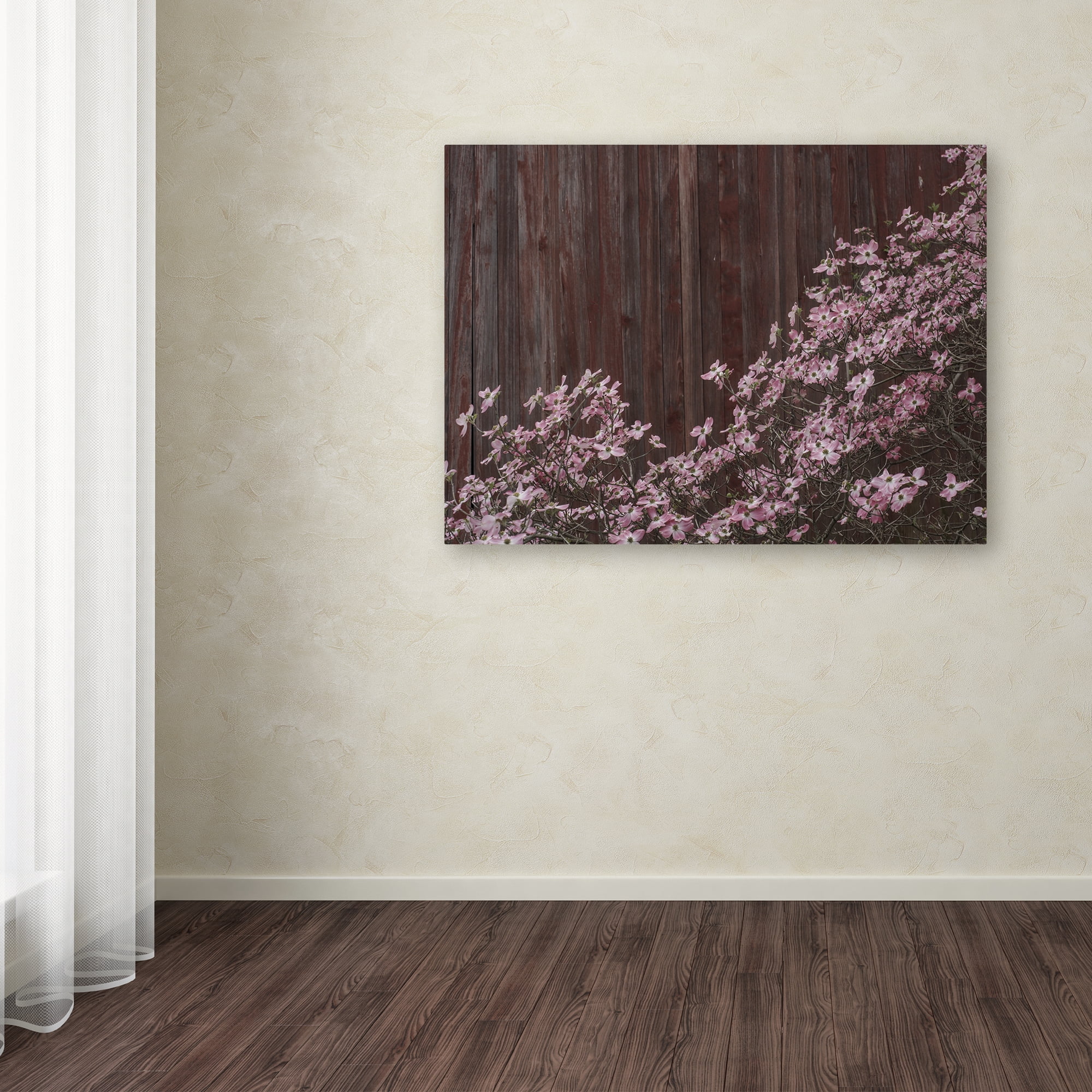 Trademark Fine Art "Pink Dogwood Red Barn Wood" Canvas Art by Kurt Shaffer