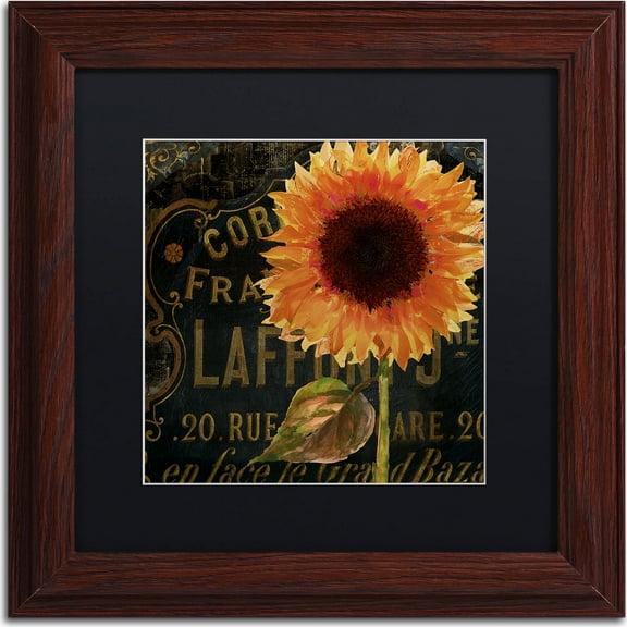 Trademark Fine Art "Sunflower Salon II" Canvas Art by Color Bakery, Black Matte, Wood Frame