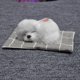 thumbnail image 1 of Muñeco de peluche de perro adorable que emite sonidos, lindo cachorro de perro durmiendo sobre una colchoneta, artículo de decoración y manualidades de peluche, 1 perro durmiendo con una colchoneta, 1 of 5