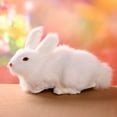 thumbnail image 4 of Seyurigaoka Realistic Rabbit Plush Toy, Simulation Stuffed Animal Bunny Doll Birthday Gift for Kids, 4 of 4