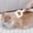 White, variant on Fmbmuo Flower-Shaped Pet Comb, Stainless Steel Needle Massage Brush, One-Click Self-Cleaning Deshedding Tool for Dogs Cats, Portable,Brown