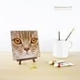 thumbnail image 5 of Pintoo - P1177 - Gros Plan de Chat - Puzzle en Plastique Mini 256 Pcs, 5 of 5