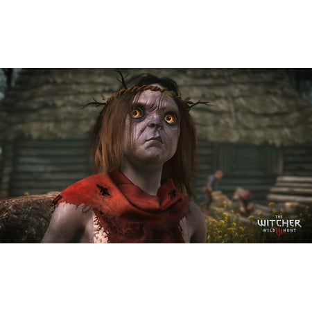 The Witcher 3 Wild Complete Warner Bros, Xbox One, 883929556502