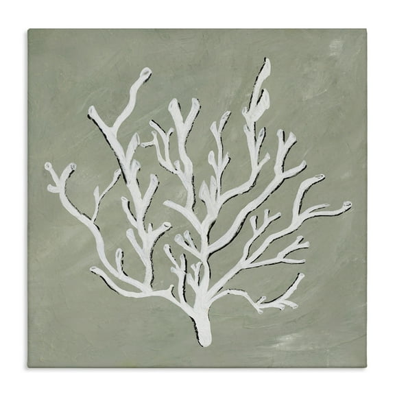 Stupell Industries White Coral Impression Coastal Painting Gallery Wrapped Canvas Art Print Wall Art, 17 x 17