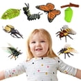 thumbnail image 3 of Modelo De Insecto Simulado Modelo De Insecto Realista Insecto De Plástico Y Decoración De Insectos Juguetes Para Niños Yuarrent FN007276-04, 3 of 6