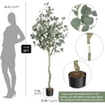 thumbnail image 3 of 6FT Artificial Eucalyptus Tree | Modern Fake Plant in Pot for Stylish Indoor & Outdoor Decor, 3 of 6
