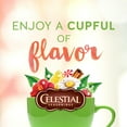 thumbnail image 5 of Celestial Seasonings, Chamomile Herbal Tea, Tea Bags, 20 Ct (6 Pack), 5 of 8