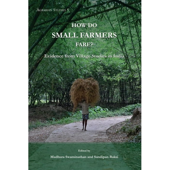 How Do Small Farmers Fare?: Evidence from Village Studies in India (Hardcover)