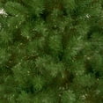 thumbnail image 2 of National Tree Company 7 ft. Canadian Grande Fir Tree, 2 of 3