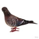 thumbnail image 1 of Artificiales de Plumas de Espuma Falsas / Estatua de Decoración para hogar Regalos Artesanales, 1 of 9