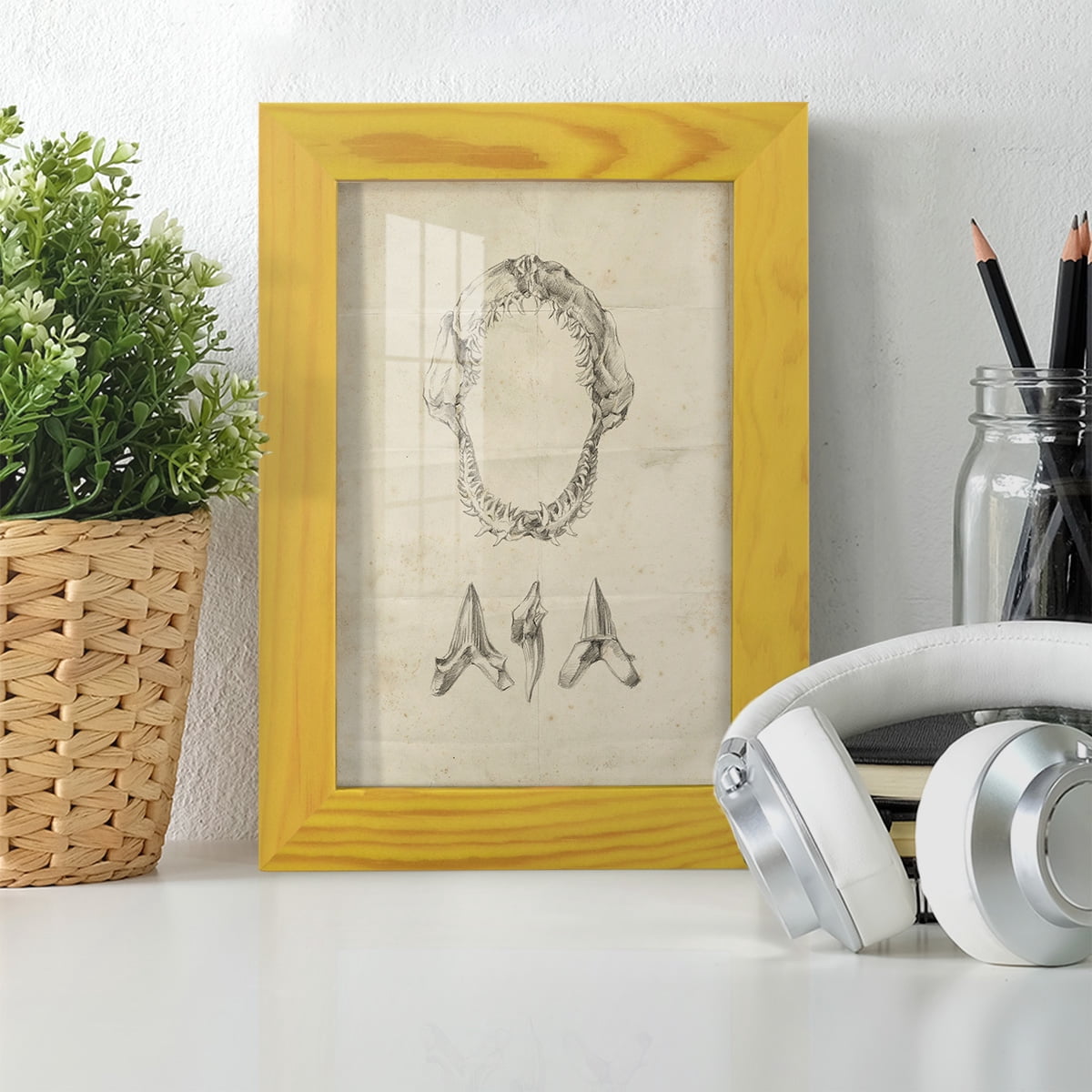 Shark Study I - Framed Print w/glass - Sunflower Yellow