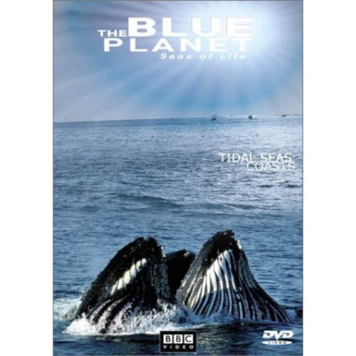 blue planet sea of life coral seas blue planet sea of life coral seas