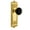Lifetime Brass, variant on Grandeur 852855 Windsor Solid Brass Rose Dummy Door Knob Set - Brass