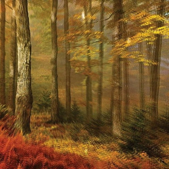 People of the North - Deep Tissue - Music & Performance - Vinyl