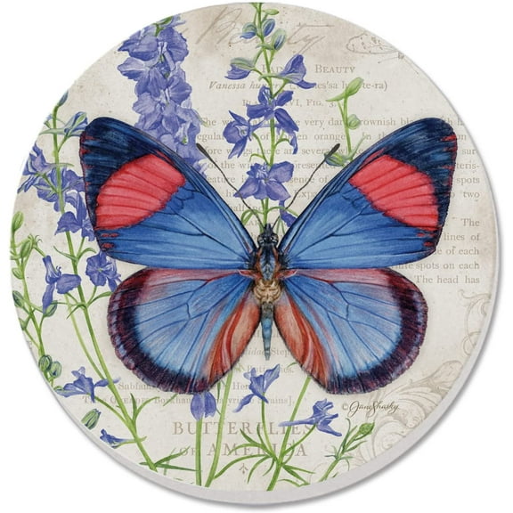 Absorbent Stone Beverage Coasters - Set of 4 - Painted Beauty