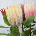 thumbnail image 5 of Coofit Artificial Flower Lifelike Protea Flower Arrangement Vase Flower for Wedding, 5 of 5