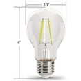 thumbnail image 4 of Feit Electric A19 (A19/TP/LED) Purple Filament LED 25W, A19 2.38" D x 4.44" H, 4 of 5