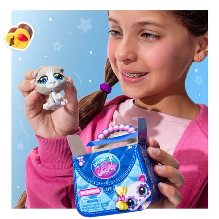 Littlest Pet Shop, Pet Surprise Singles, Series 4 Novelty Figure, Children Ages 4