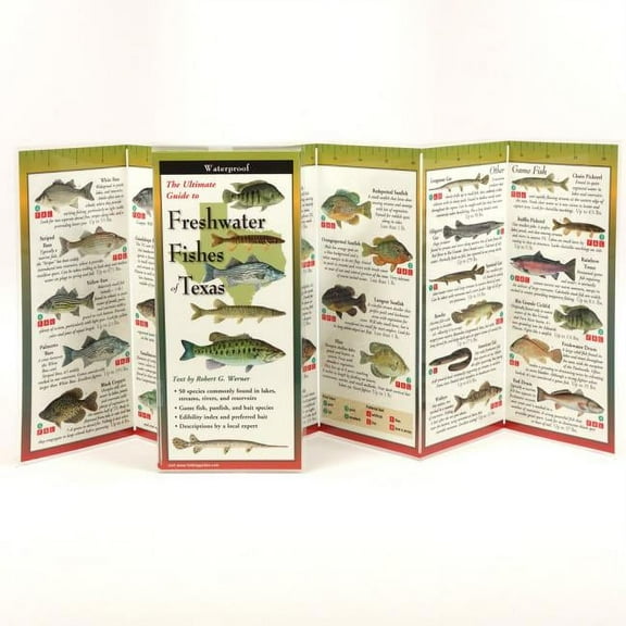 FoldingGuides: Freshwater Fishes of Texas (Other)