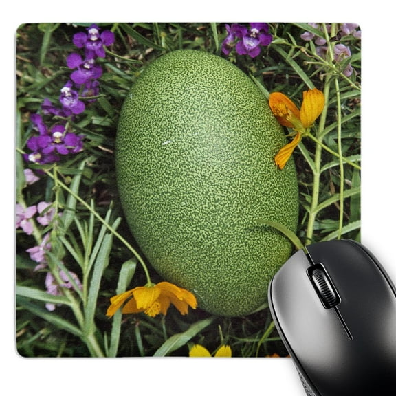 3dRose, Egg of cassowary bird, Papua New Guinea - OC12 KSU0106 - Keren Su, MousePad