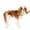 Apple Green, variant on PetSafe Deluxe Easy Walk Dog Harness, No-Pull Dog Training, Medium, Steel