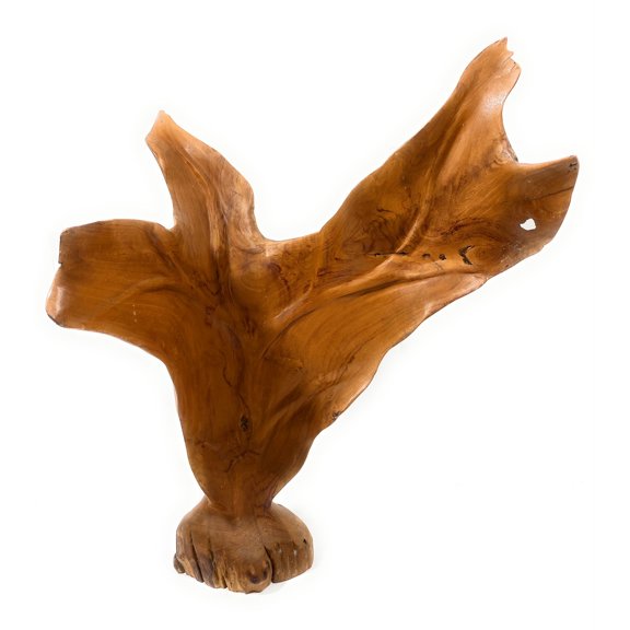 Elegant Carved Leaf on Stand 22" X 16" X 10" Teak Root - Centerpiece | #cin19i