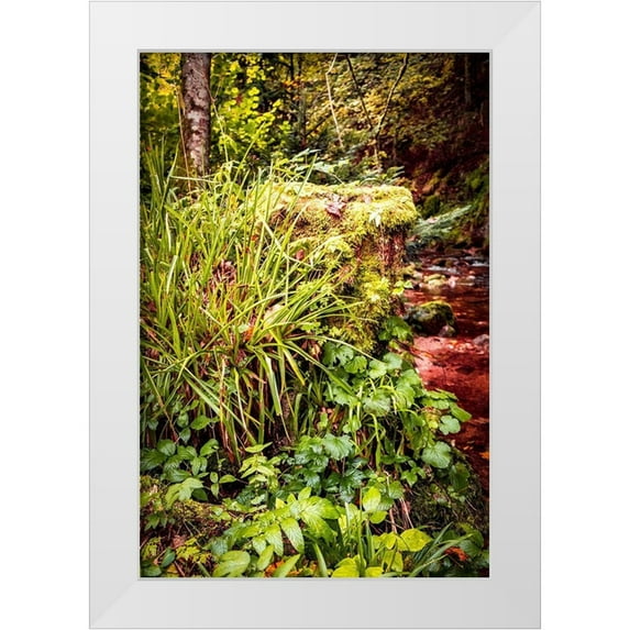 Murdock, Ramona 11x14 White Modern Wood Framed Museum Art Print Titled - Black Forest River Bank