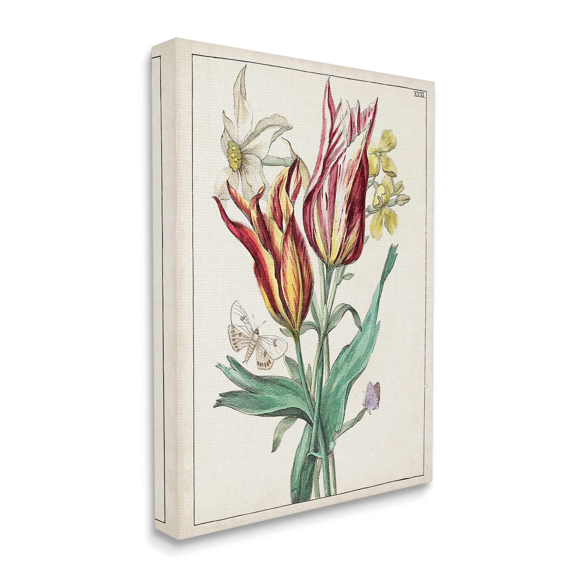 Stupell Industries Tulips & Moths Study Botanical & Floral Painting Gallery Wrapped Canvas Art Print Wall Art, 30 x 40