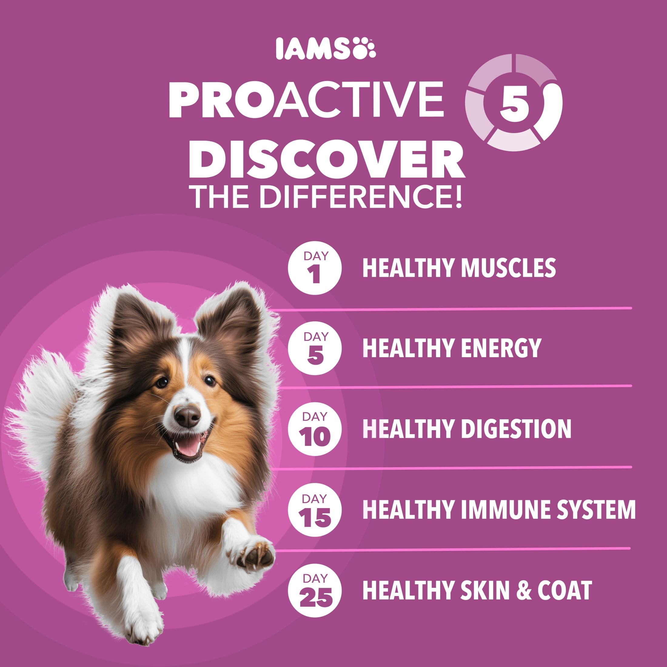 IAMS Proactive Health Dry Dog Food, Adult Dog Food Dry Recipe for Large Breeds, Chicken, 15 Lb. Bag