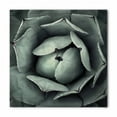 thumbnail image 1 of Cactus Bandana, Flourishing Grey Cactus, Unisex Head and Neck Tie, by Ambesonne, 1 of 2