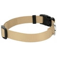 thumbnail image 7 of Country Brook Design&reg; Deluxe Nylon Dog Collar and Leash, 7 of 7