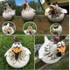 thumbnail image 1 of Decoración divertida para vallas, pollo, gallo divertido, adornos para patio, artesanías de resina, jardinería, decoración de jardín, 1 of 2