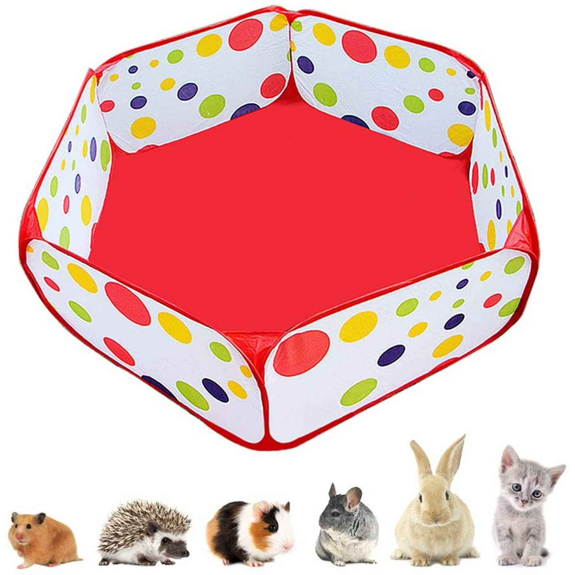 Guinea pig playground outlet