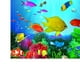 thumbnail image 3 of 3D Imagen con Colores Pared Papel Adhesivo para Acuario - Multicolor, XXL Salvador Dali Etiqueta engomada del fondo del tanque de peces, 3 of 10