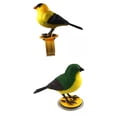 thumbnail image 1 of 2 Uds Juguete para Mascotas Control Pájaro Cantor Yotijar pájaro cantor, 1 of 9
