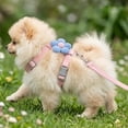 thumbnail image 4 of Cute Kitty Outdoor Escape Proof H Shape Adjustable Pet Harness, Soft Polyester Breathable Material for Ragdoll Teddy Small Dogs, Daily Walk Safety Control with Secure Fit, Holiday Travel Comfort Gear, 4 of 6