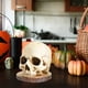 thumbnail image 4 of Estante Almacenamiento Cuchillos Soporte para Calavera Resina Fiesta Miedo Halloween, 4 of 9