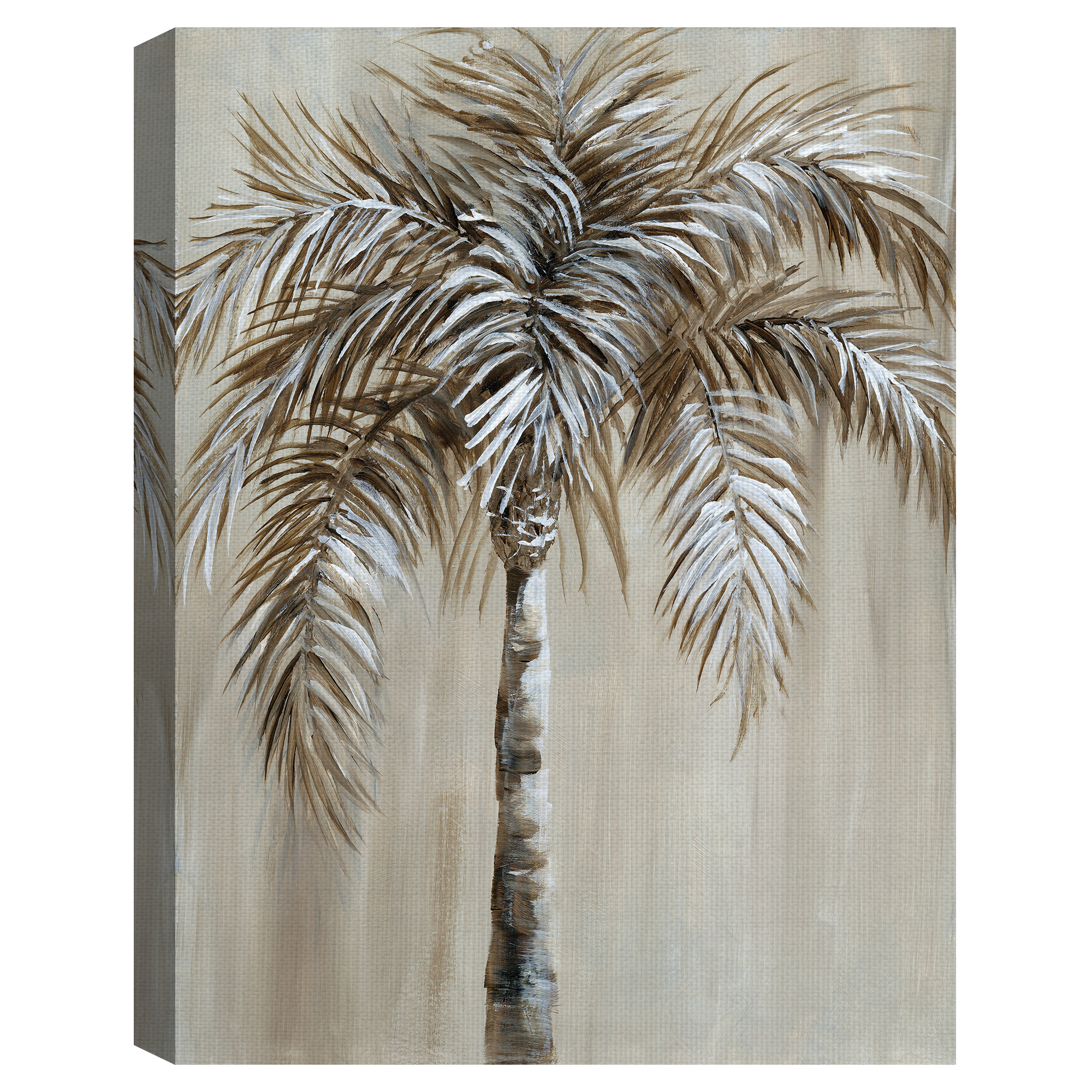 Masterpiece Art Gallery Palm Magic I By Nan Canvas Art Print 30" x 40"