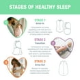 thumbnail image 6 of SwaddleMe by Ingenuity Pod - Little Bees, 6 of 6