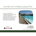 thumbnail image 3 of Peppermint & Eucalyptus - Hot Springs Eucalyptus Candle, 3 of 3