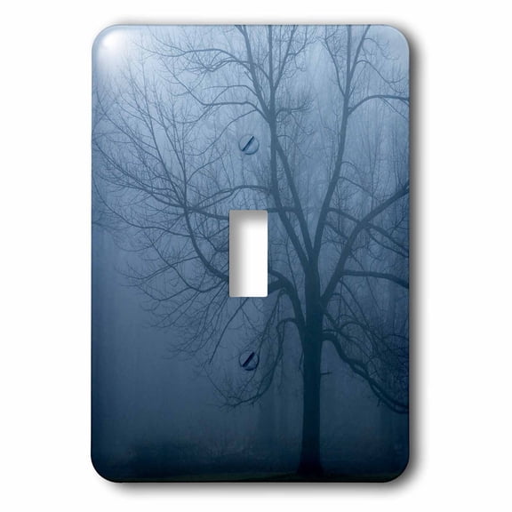 3dRose, USA, Indiana. Skeleton tree in fog., single toggle switch
