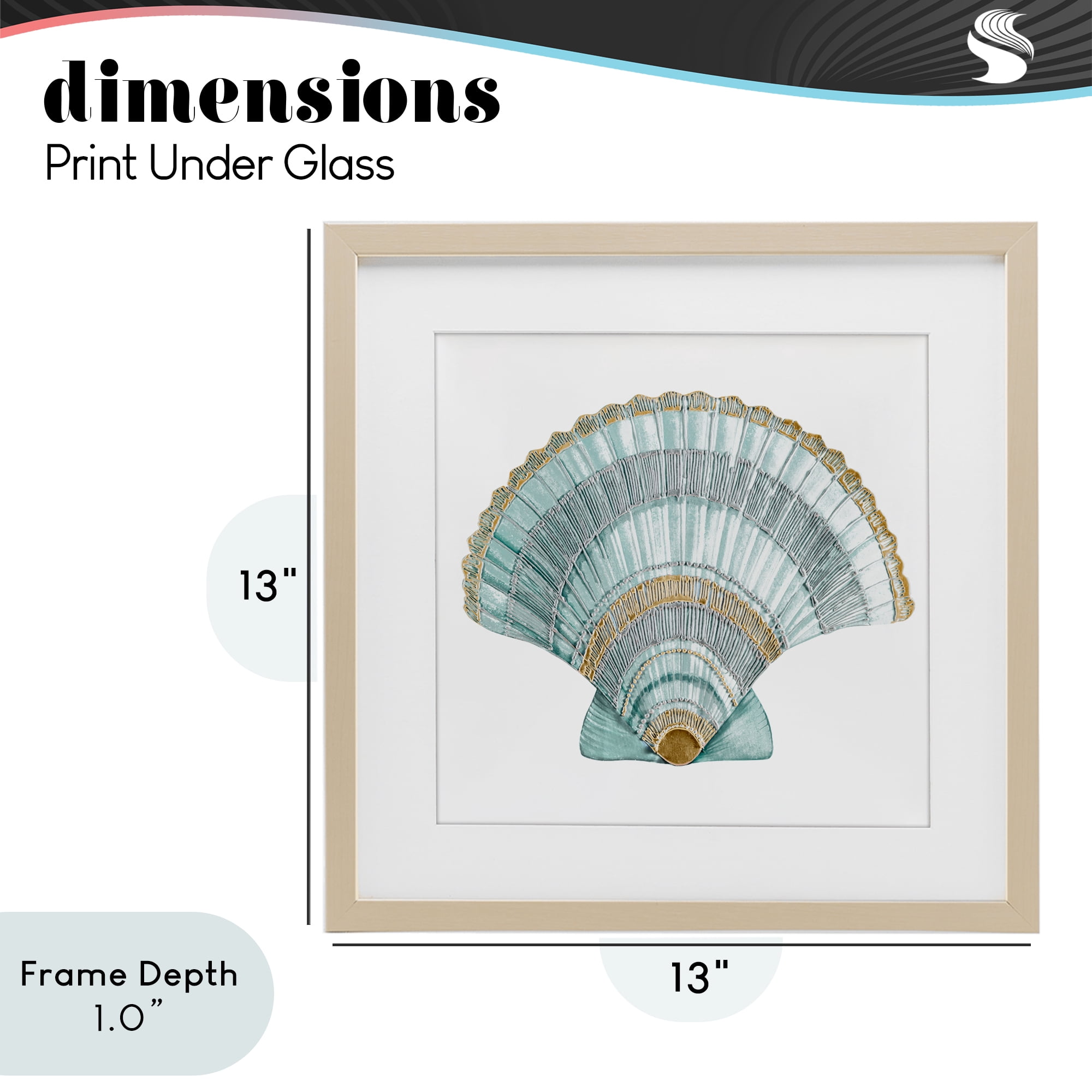 Stupell Industries Regal Shells Scallop Birch Framed Print Under Glass, design by Lorenzo Collective